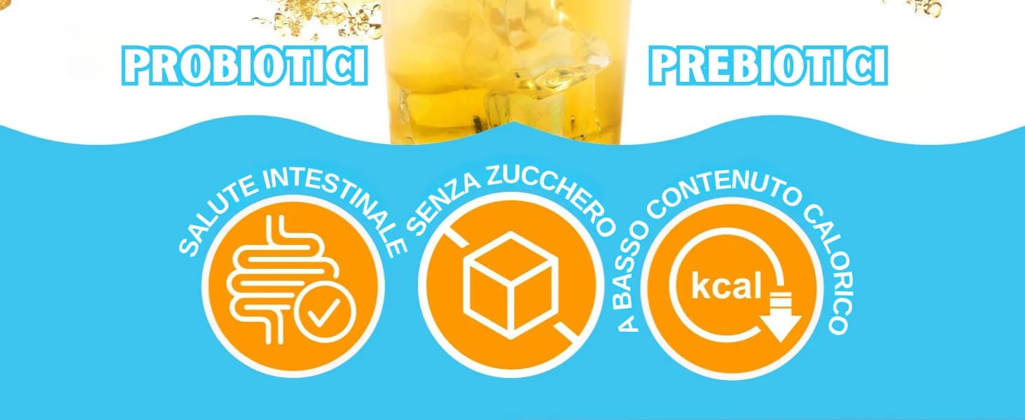 Kombucha Limone banner 2