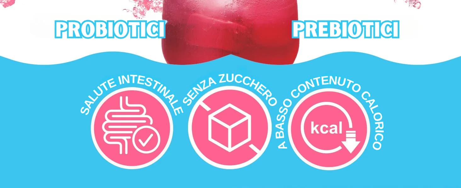Kombucha ai Frutti di Bosco banner 2