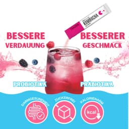 Beeren Kombucha thumbnail 3