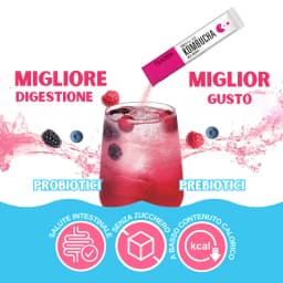 Kombucha ai Frutti di Bosco thumbnail 3