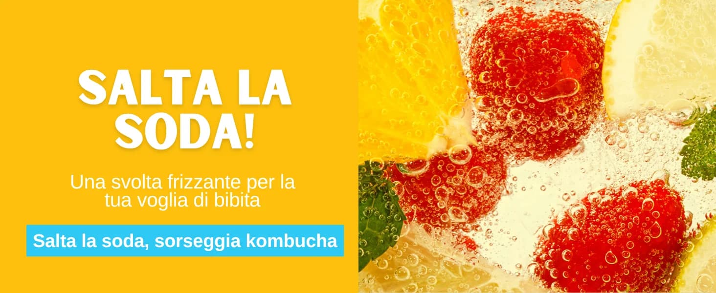 Kombucha Limone (YUZU) banner 6