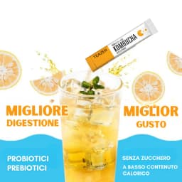 Kombucha Limone (YUZU) thumbnail 6