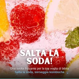 Kombucha Limone (YUZU) thumbnail 8