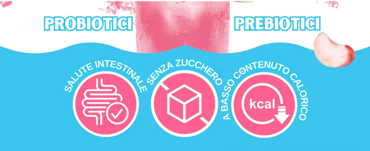Kombucha Pesca banner 2