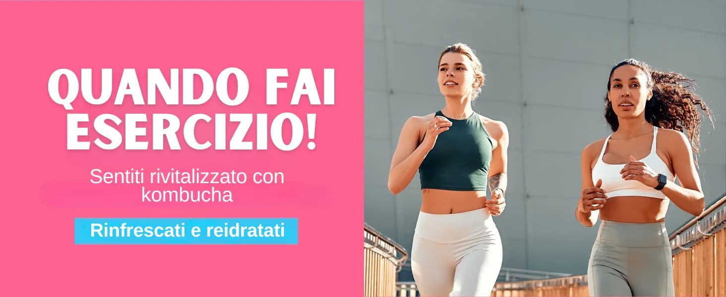 Kombucha Pesca banner 4