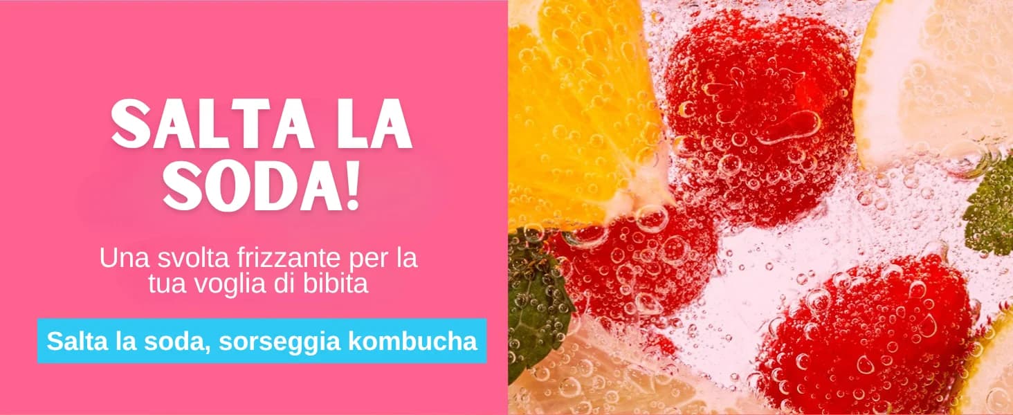 Kombucha Pesca banner 6