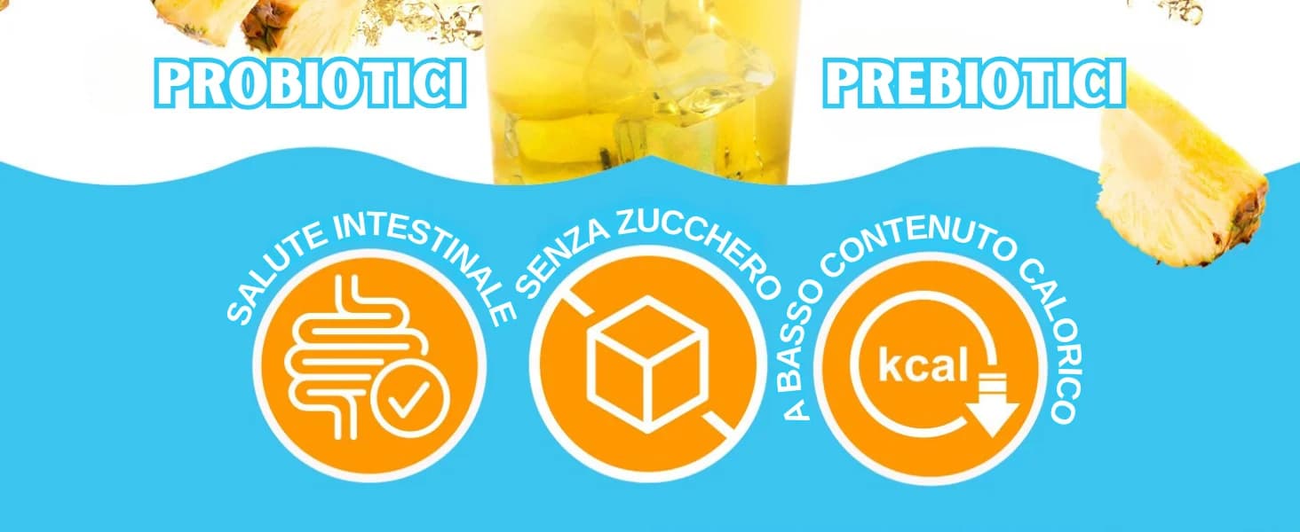 Kombucha Ananas banner 2