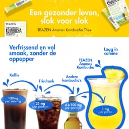 Ananas Kombucha thumbnail 1