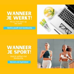 Ananas Kombucha thumbnail 11