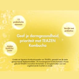 Ananas Kombucha thumbnail 12