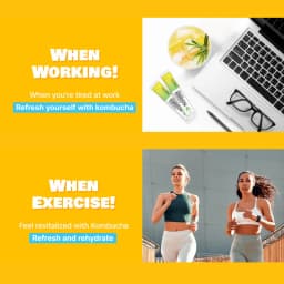 Pineapple Kombucha thumbnail 11