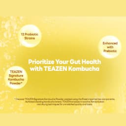 Pineapple Kombucha thumbnail 12