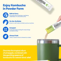 Pineapple Kombucha thumbnail 13