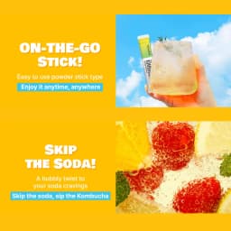 Pineapple Kombucha thumbnail 10