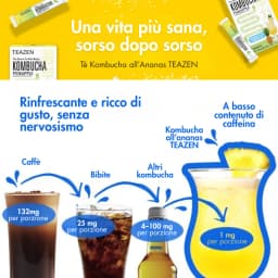 Kombucha Ananas thumbnail 1