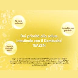 Kombucha Ananas thumbnail 12