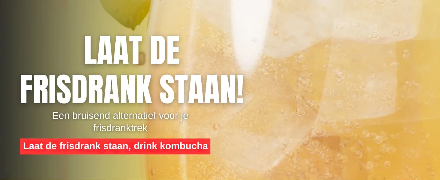 Appelciderazijn Detox Drank banner 5