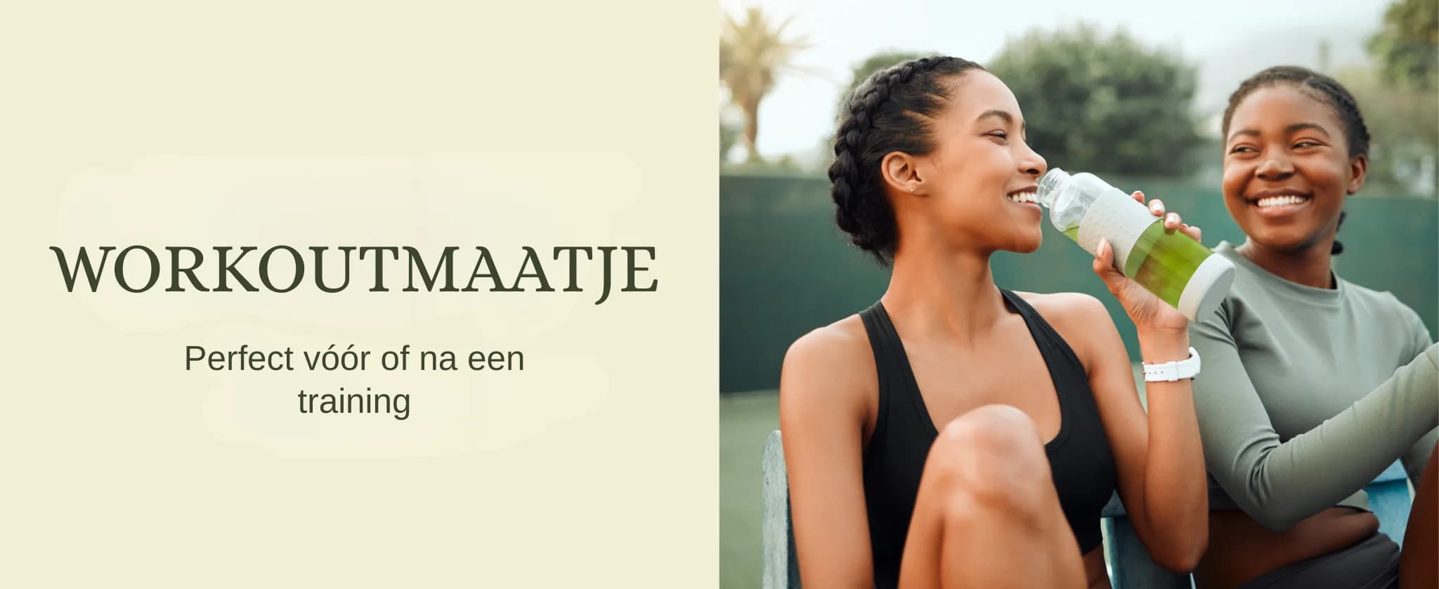 Matcha Citroen Kombucha banner 4