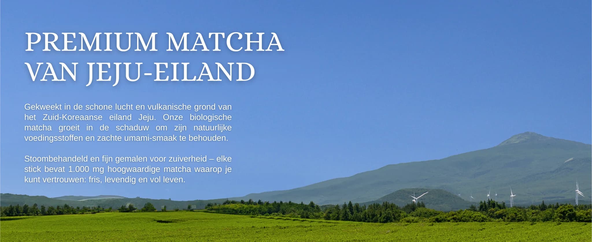 Matcha Citroen Kombucha banner 8