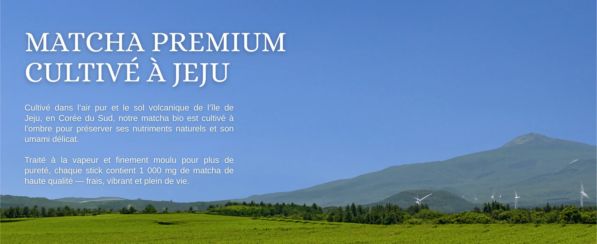 Kombucha Matcha Citron banner 8