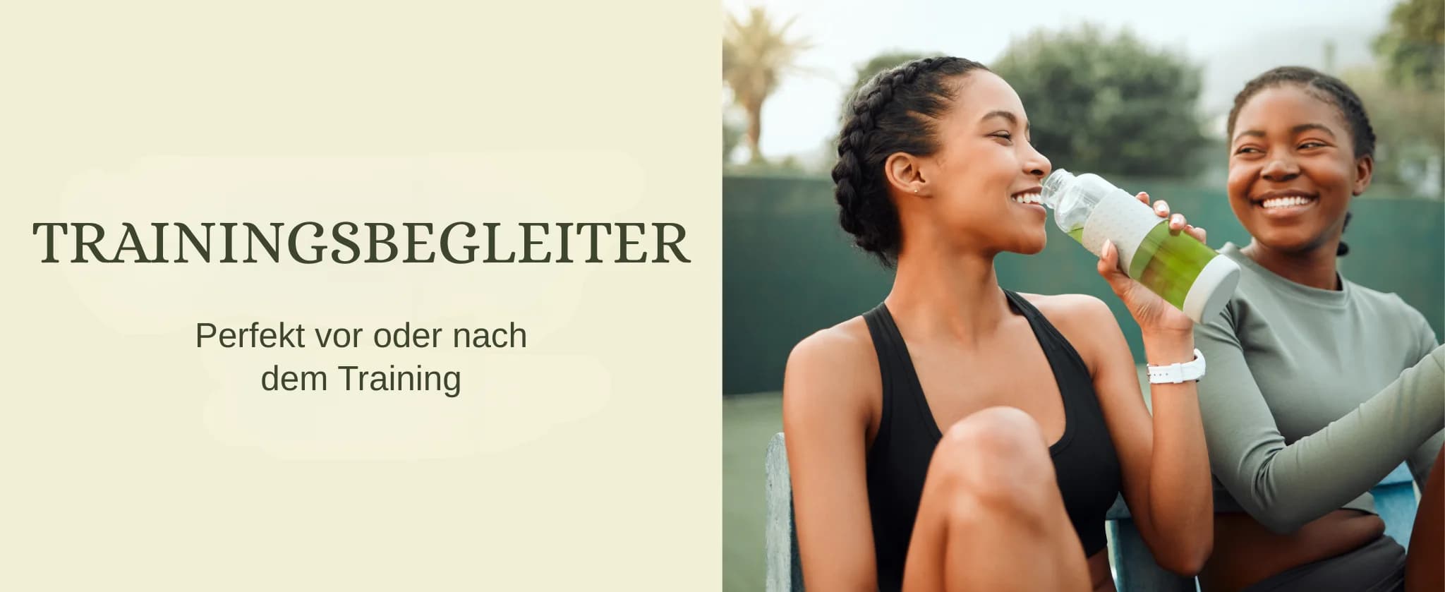 Matcha Zitronen Kombucha banner 4