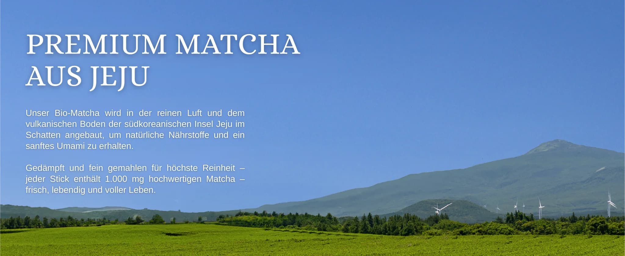 Matcha Zitronen Kombucha banner 8