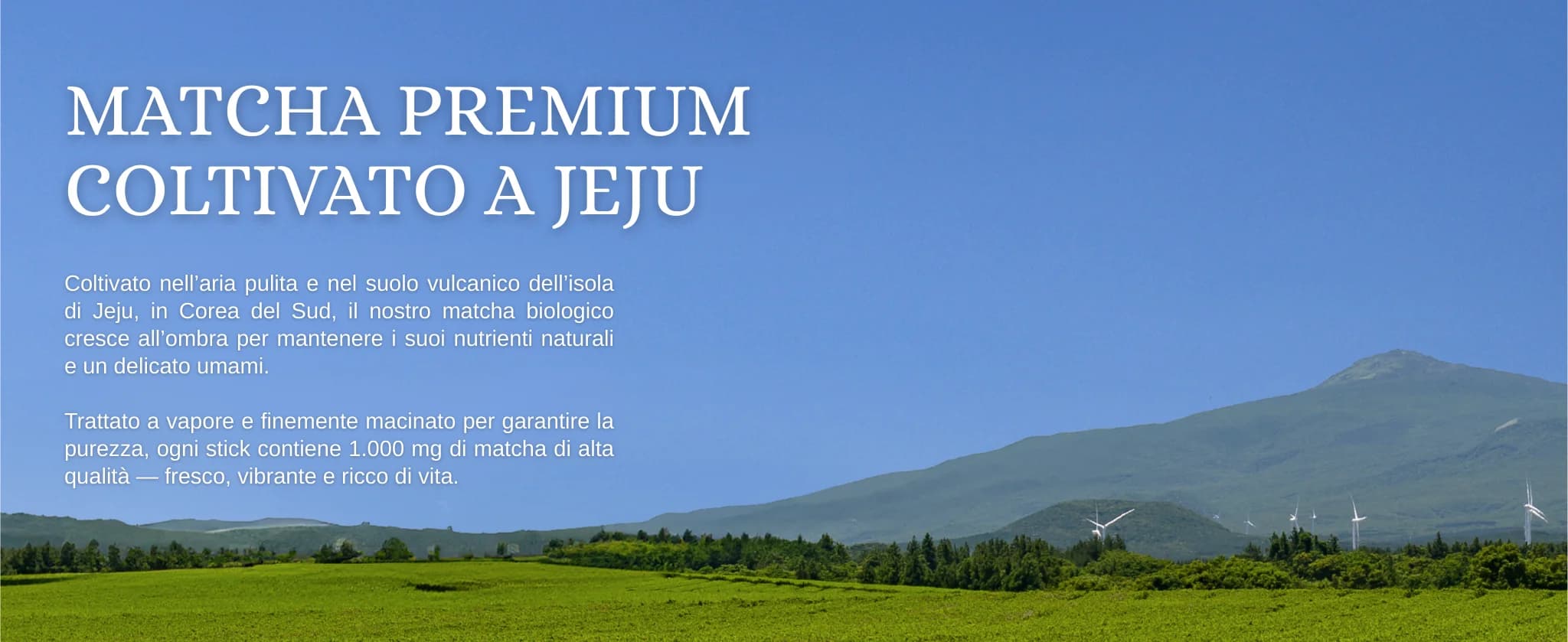 Kombucha Matcha Limone banner 8