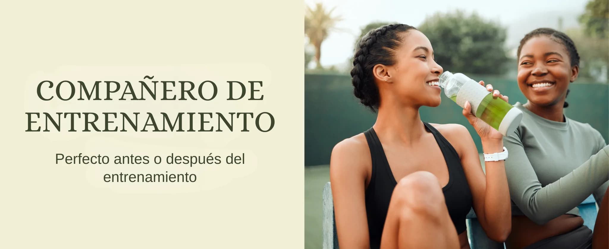 Kombucha Matcha Limón banner 4