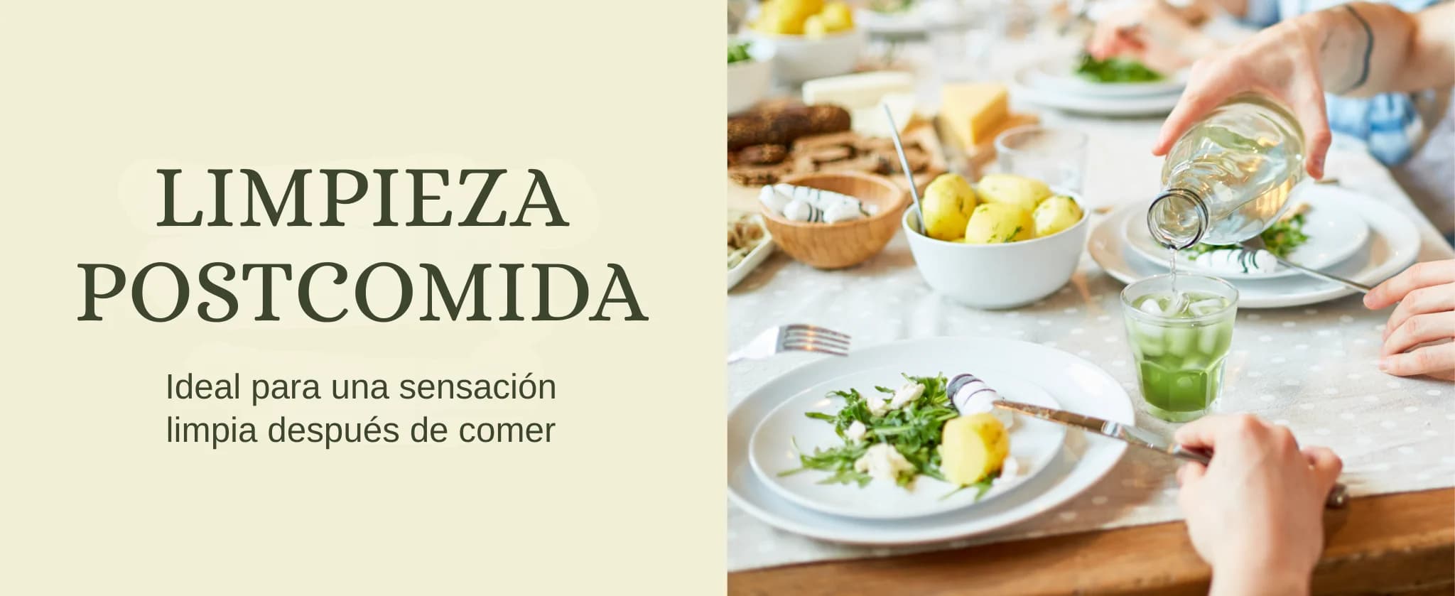 Kombucha Matcha Limón banner 6