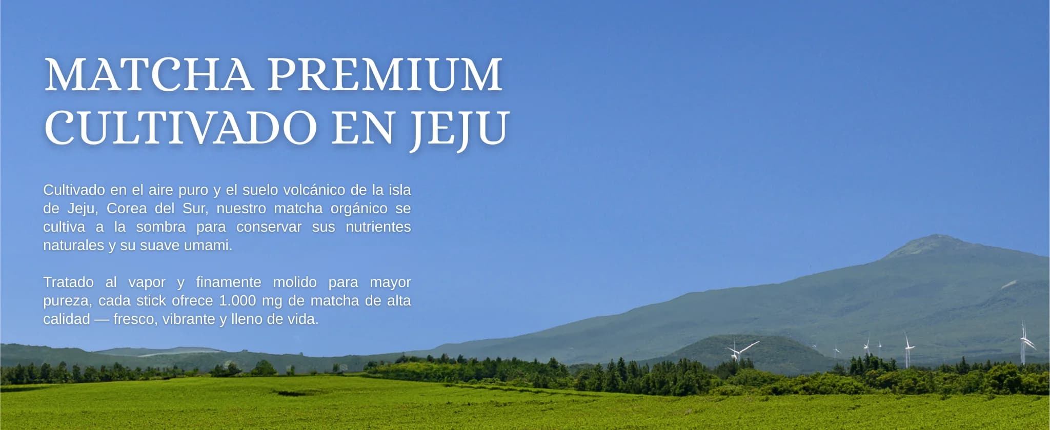 Kombucha Matcha Limón banner 8