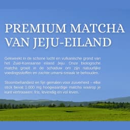 Matcha Citroen Kombucha thumbnail 7