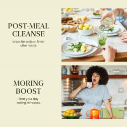 Matcha Lemon Kombucha thumbnail 4