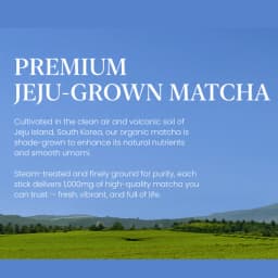 Matcha Lemon Kombucha thumbnail 7