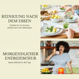 Matcha Zitronen Kombucha thumbnail 4