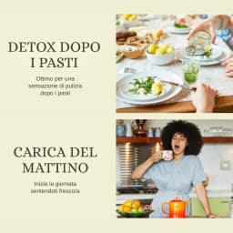 Kombucha Matcha Limone thumbnail 4