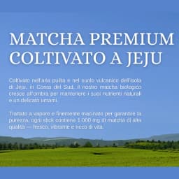 Kombucha Matcha Limone thumbnail 7