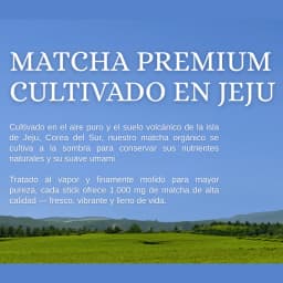 Kombucha Matcha Limón thumbnail 7