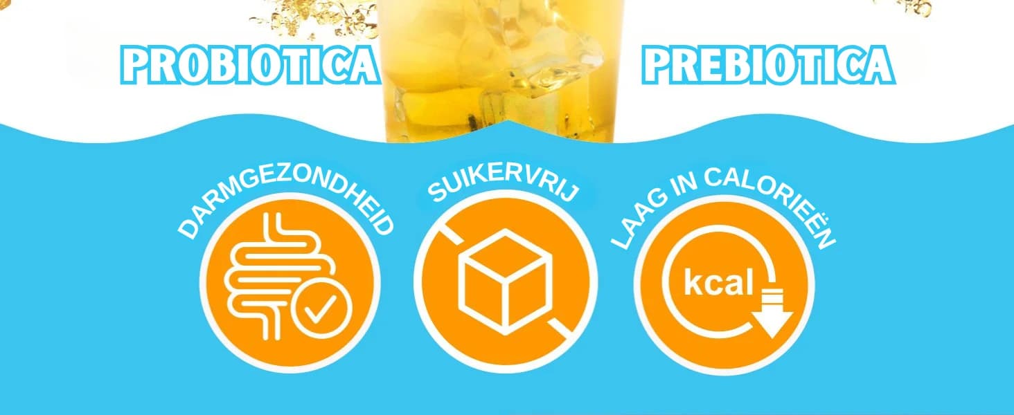 Citroen Kombucha banner 2