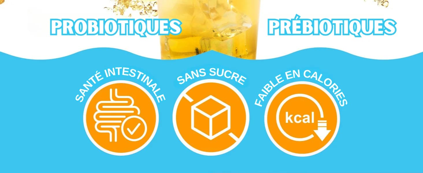 Kombucha Citron banner 2