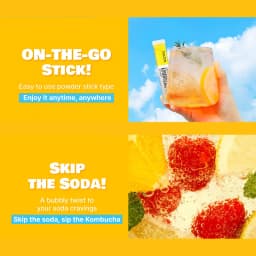 Lemon Kombucha thumbnail 5