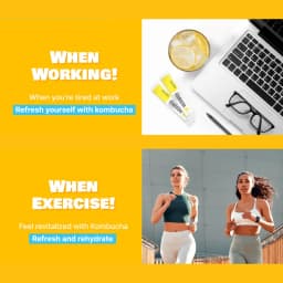 Lemon Kombucha thumbnail 6