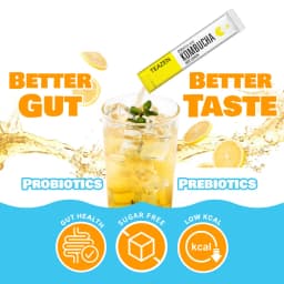 Lemon Kombucha thumbnail 8