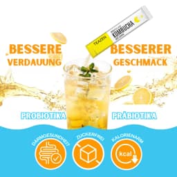 Zitronen Kombucha thumbnail 8