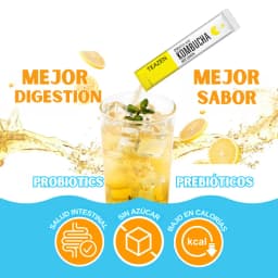 Kombucha Limón thumbnail 8