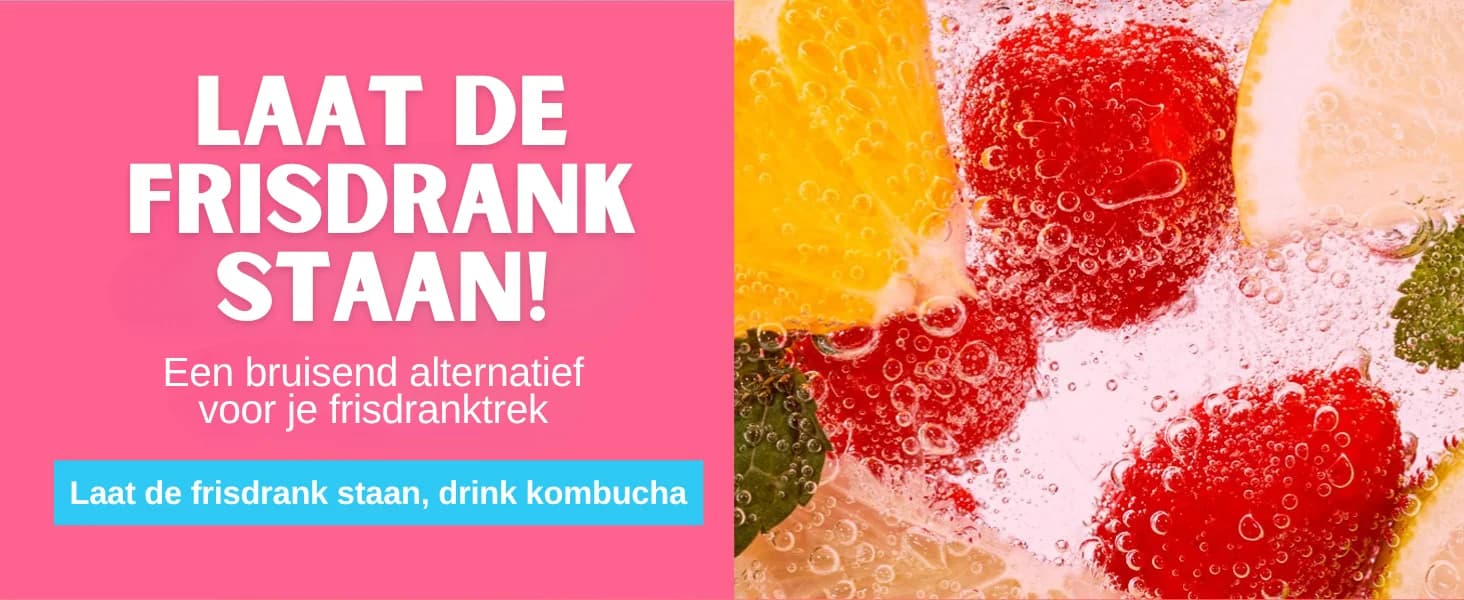 Bessen Kombucha banner 6