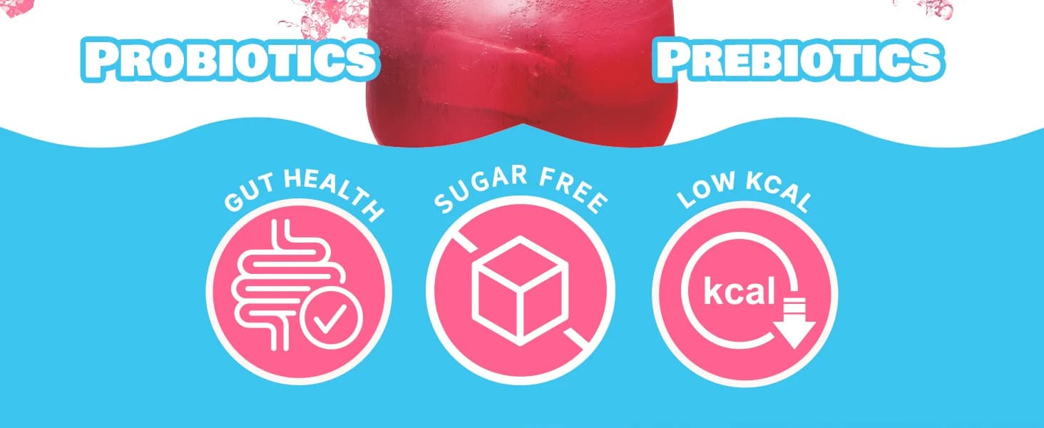 Berry Kombucha banner 2