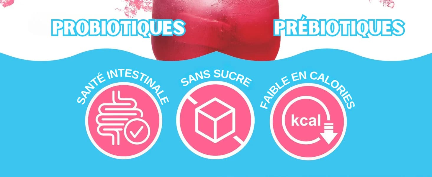 Kombucha Baie banner 2