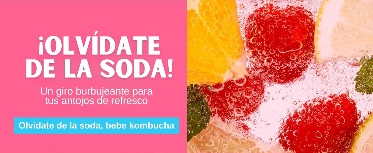Kombucha de Bayas banner 6
