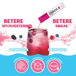 Bessen Kombucha thumbnail 3