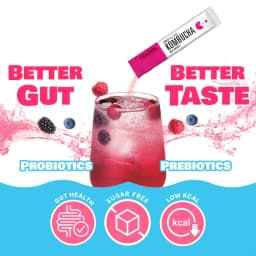 Berry Kombucha thumbnail 3